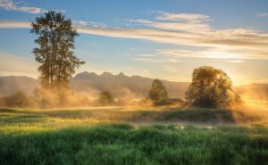 działka nad rzeką